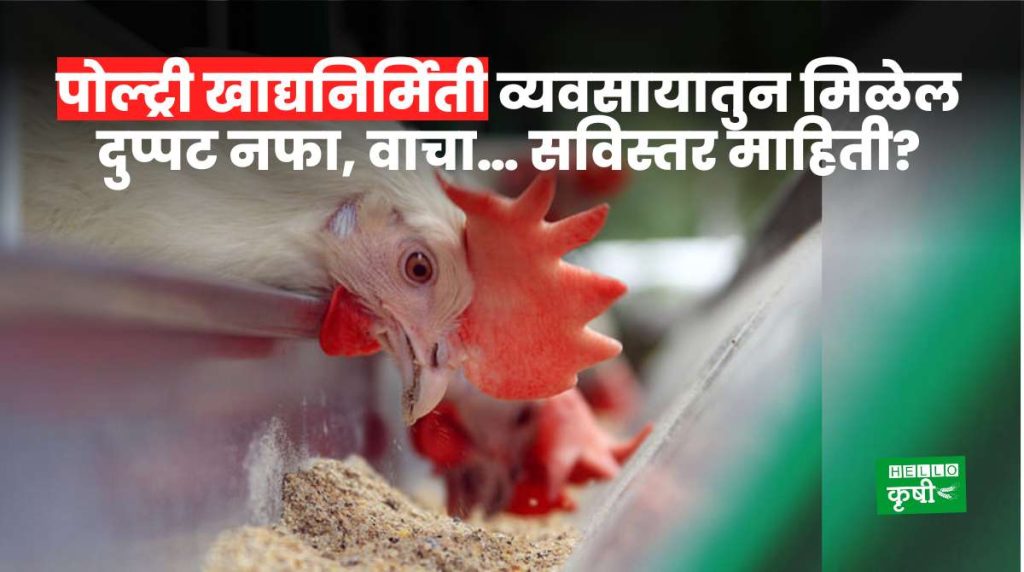 Poultry Feed Business