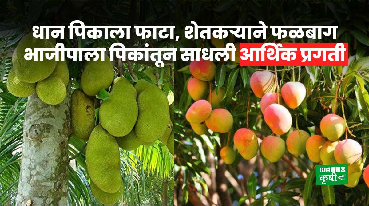 Success Story Of Fruit-Vegetable Farming