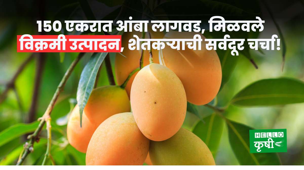 Success Story Of Mango Farming