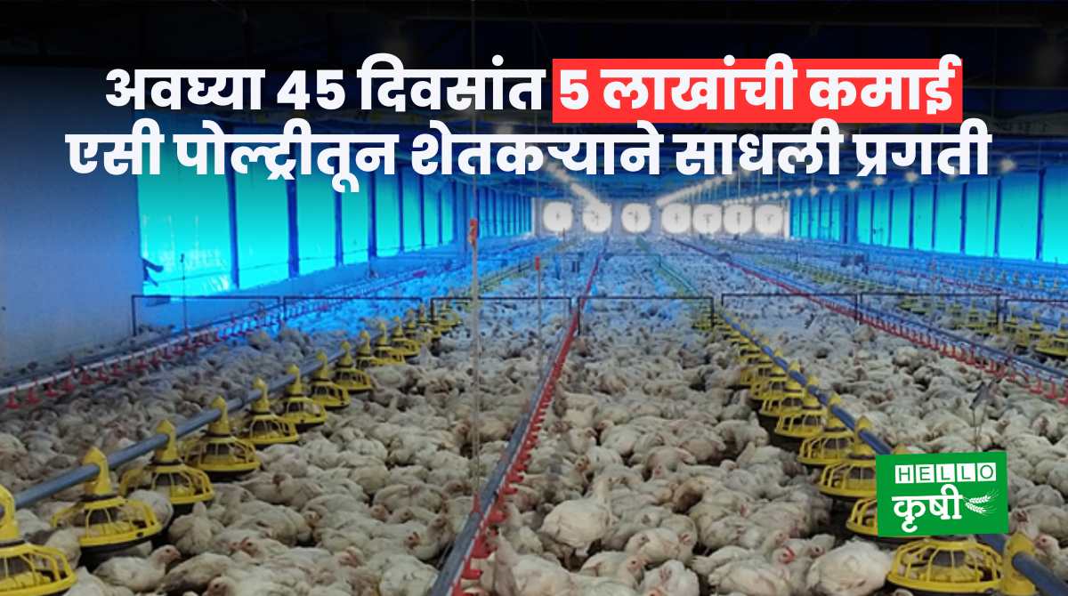 Success Story Of Poultry Farming