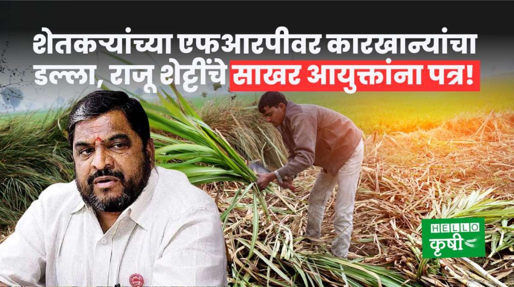 Sugarcane FRP Issue In Maharashtra