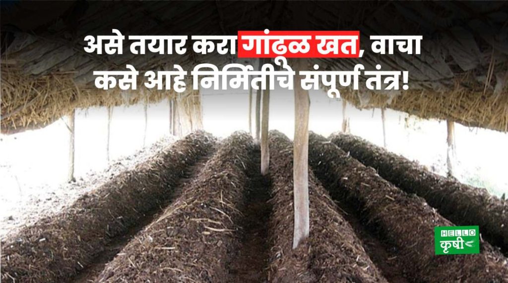 Varmi Compost Khat For Farmers