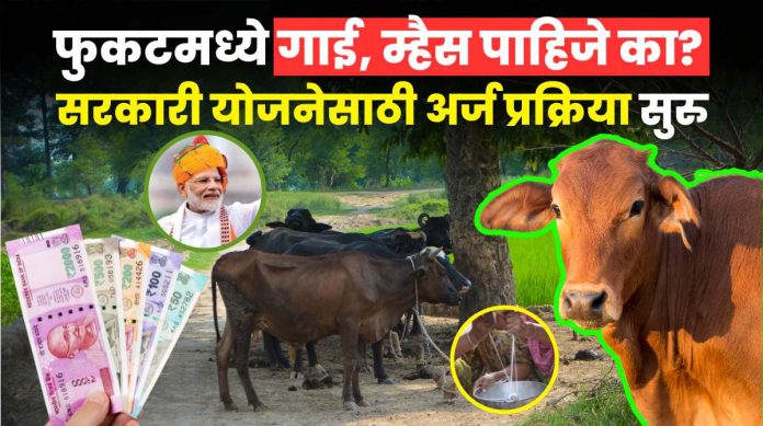 Government Scheme