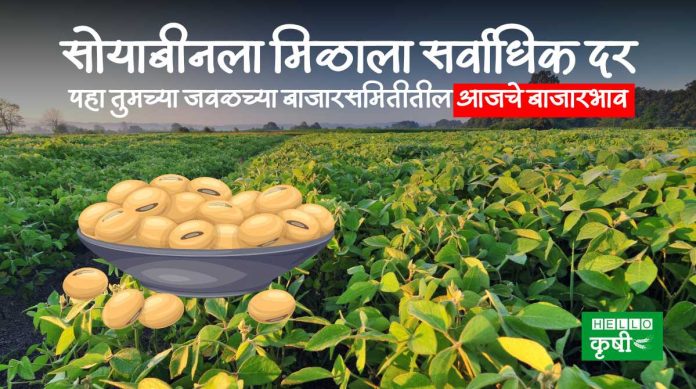 Soyabean Bajarbhav