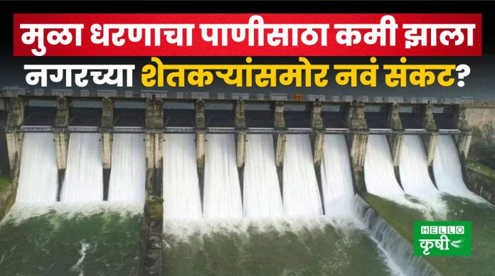 Mula Dam Water Storage